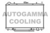 OPEL 1302079 Radiator, engine cooling